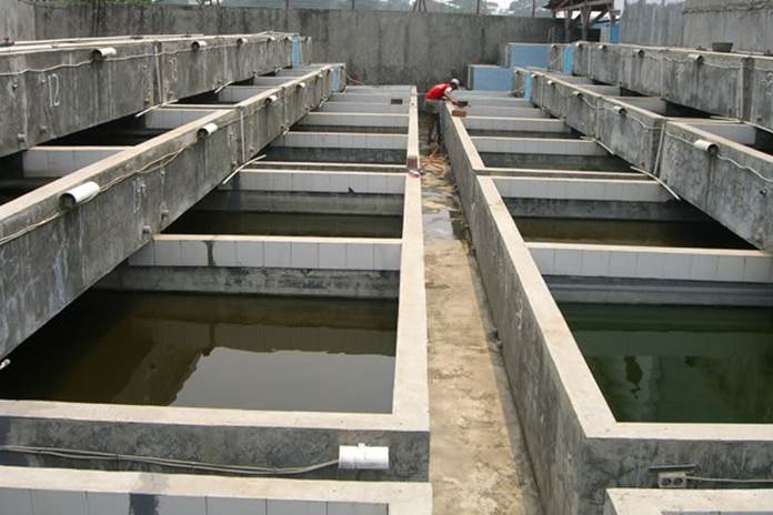 Beberapa kolam lele beton yang sudah dibuat