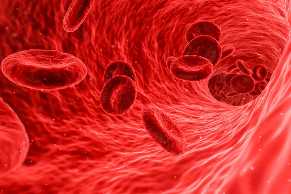 Proses pembuatan sosis juga bisa mencegah anemia