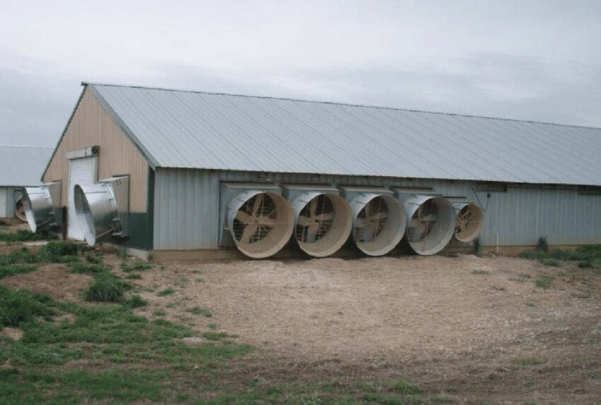 Kandang Ayam Tunnel Ventilation System sesuai digunakan pada tempat yang berada di dataran tinggi