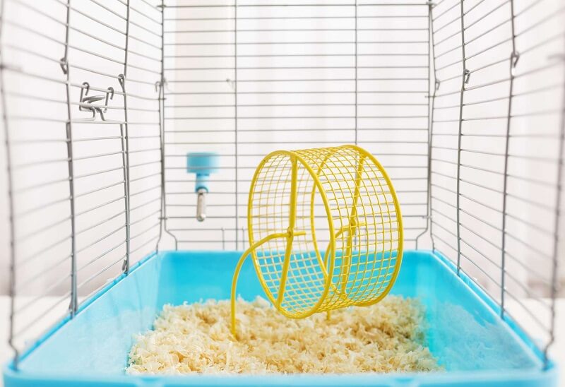Beberapa mainan hamster dibutuhkan agar hewan tersebut tidak stress ketika ada di dalam kandangnya