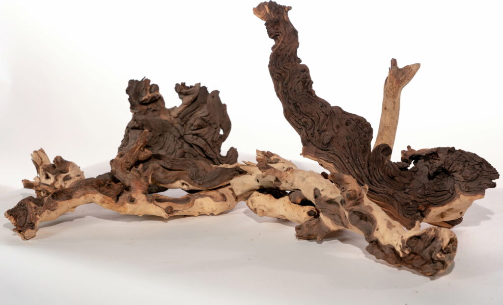 Jenis kayu untuk aquascape yang bisa dicoba adalah kayu mopani