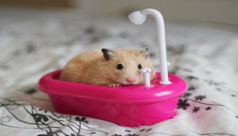 cara memandikan hamster harus dipahami dengan baik agar hamster sehat dan bersih