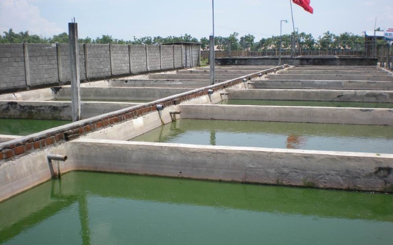 Kolam Beton bisa dipilih jika ingin memiliki kolam yang kuat untuk jangka panjang