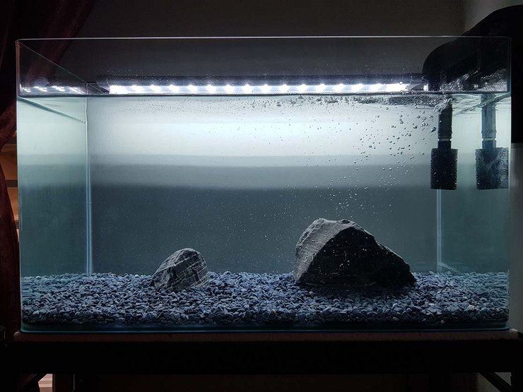 Gunakan pompa air pada aquarium yang berfungsi sebagai alat untuk menjaga kualitas air dan oksigen