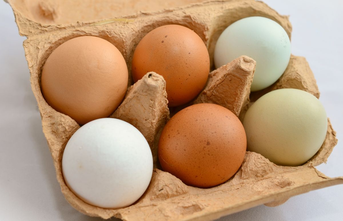 ada banyak cara pengawetan telur yang bisa dicoba