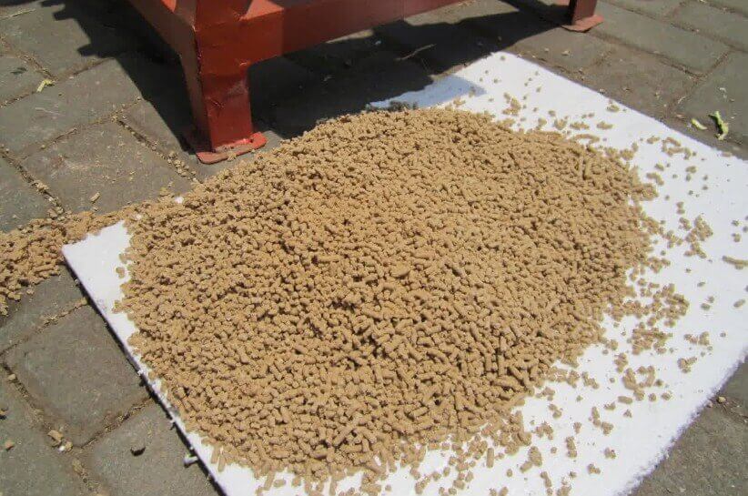 Pakan alternatif pengganti pelet ikan dapat dibuat dari berbagai bahan seperti tepung ikan