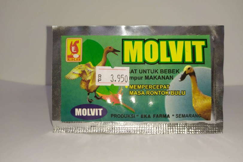 Molvit adalah salah satu vitamin yang bagus untuk bebek