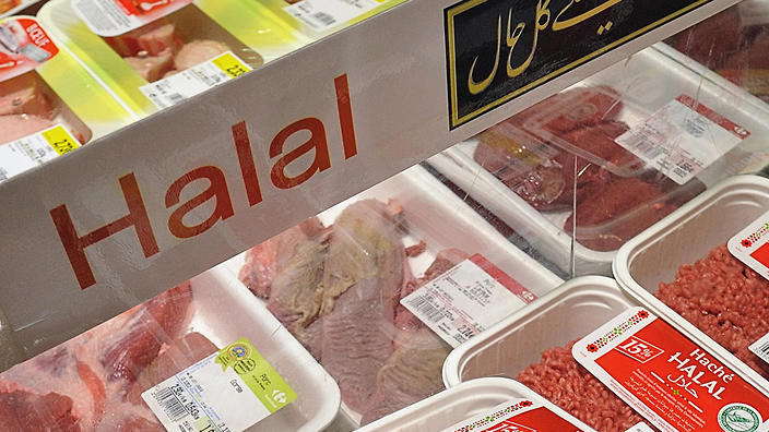 Distributor ayam frozen terpercaya cirinya pengemasan sudah berlabel halal