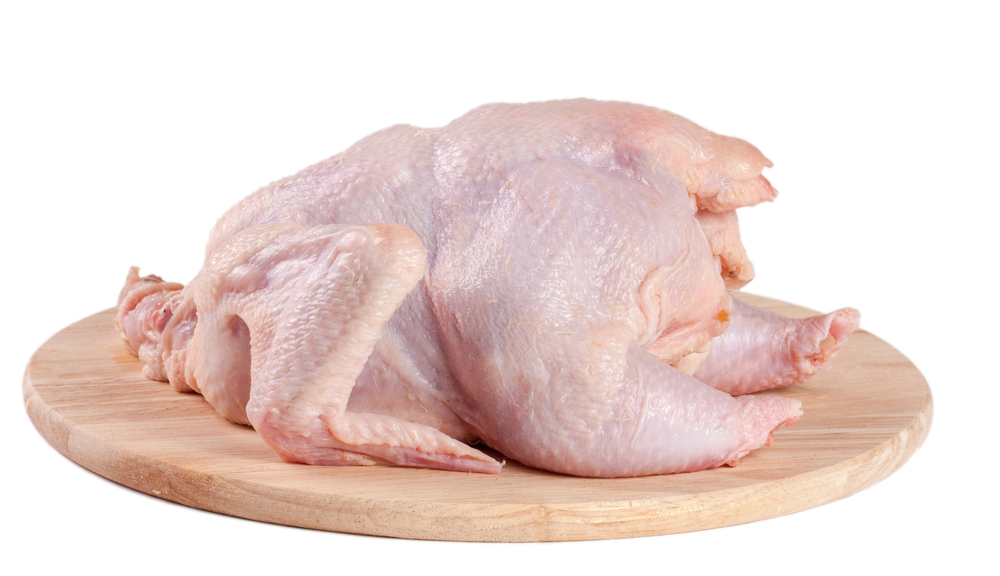 Karakteristik ayam broiler mempunyai daging yang empuk