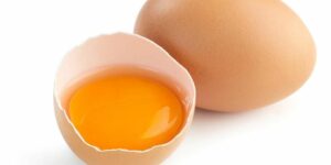 Kuning telur juga menjadi pakan burayak yang populer