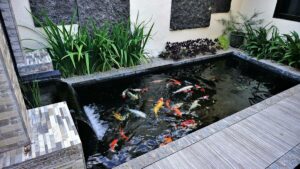Lokasi sangat penting dalam cara membuat kolam ikan sederhana di depan rumah