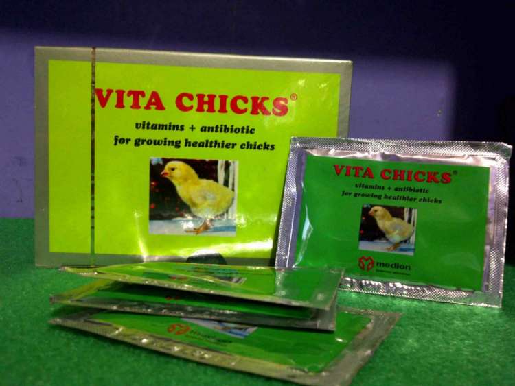 Gambaran Umum Vitachick Ayam