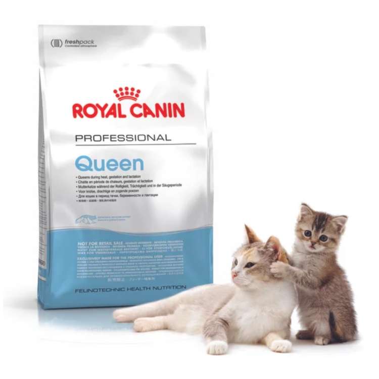 Royal Canin Pro Queen